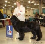 Превью фото № 5219