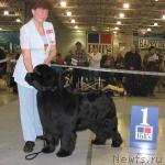 Превью фото № 5223