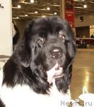 Превью фото № 5224