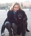 Превью фото № 52254