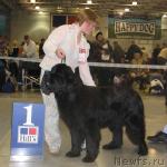 Превью фото № 5228