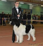 Превью фото № 52961