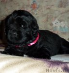 Превью фото № 53420