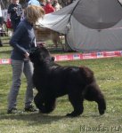 Превью фото № 53528