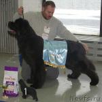 Превью фото № 5353