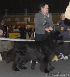 Превью фото № 53566