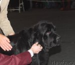 Превью фото № 53574