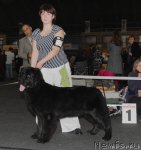 Превью фото № 53575