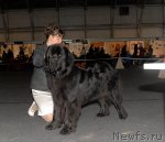 Превью фото № 53580