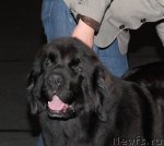 Превью фото № 53582