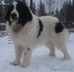 Превью фото № 53622