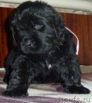 Превью фото № 53663