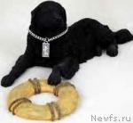 Превью фото № 5369