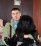 Превью фото № 53699