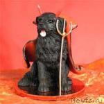 Превью фото № 5371