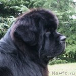 Превью фото № 53773