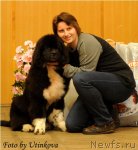 Превью фото № 53835