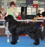 Превью фото № 53905