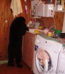 Превью фото № 53925