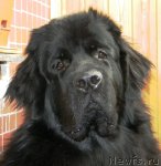 Превью фото № 53989