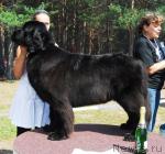 Превью фото № 5402