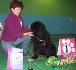 Превью фото № 54034