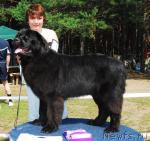 Превью фото № 5404