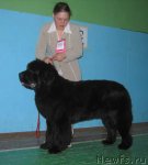 Превью фото № 54044