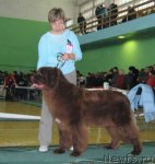 Превью фото № 54047