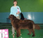 Превью фото № 54048