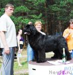 Превью фото № 5406