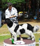 Превью фото № 5417