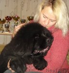 Превью фото № 54204