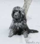 Превью фото № 54205