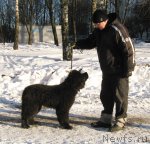 Превью фото № 54207