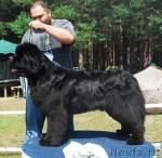 Превью фото № 5421