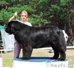 Превью фото № 5428