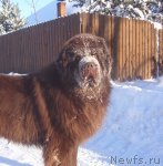 Превью фото № 54383