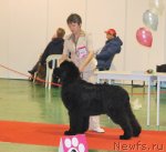 Превью фото № 54467