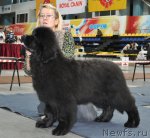 Превью фото № 54518