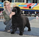 Превью фото № 54519