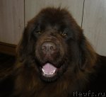 Превью фото № 54599