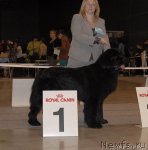 Превью фото № 54659