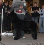 Превью фото № 54752