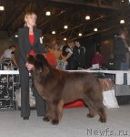 Превью фото № 54762