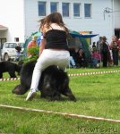 Превью фото № 54961