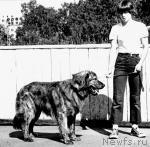 Превью фото № 5527