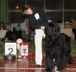 Превью фото № 55391