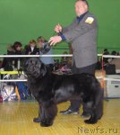 Превью фото № 55411