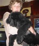 Превью фото № 5543